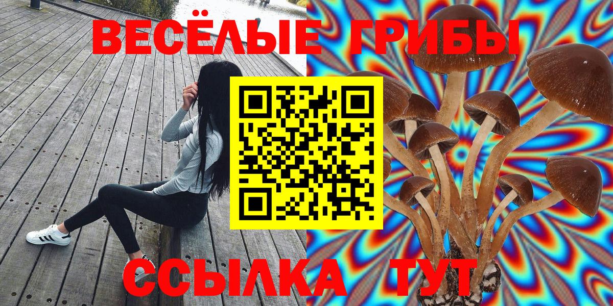 Красноярск  Галлюциногенные грибы ЛСД  Вход с VPN 